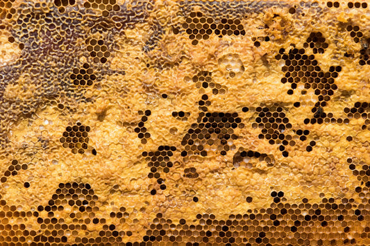 The Scoop on Beeswax - its the bee's knees! - Hippie Dippie Ohio